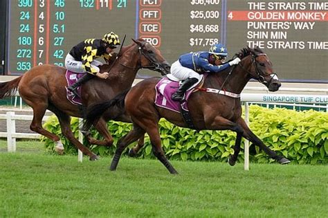 singapore horse racing tips by larry|Lim’s Kosciuszko storms to victory in Lion City Cup.